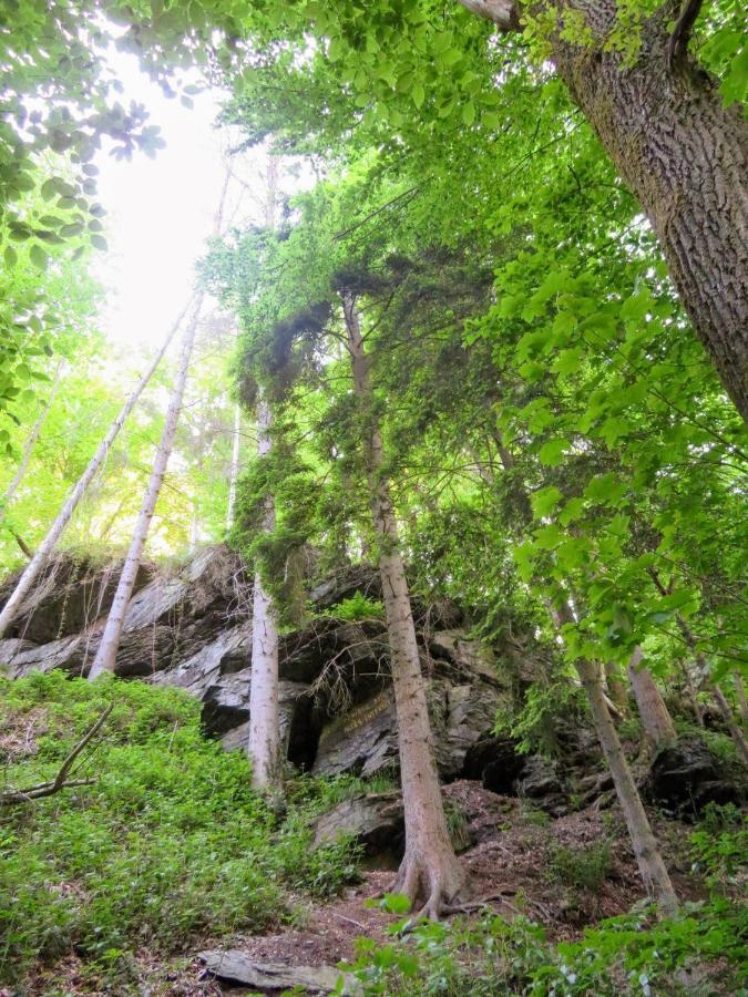 La Roche En Ardenne , Welcome Luaran gambar